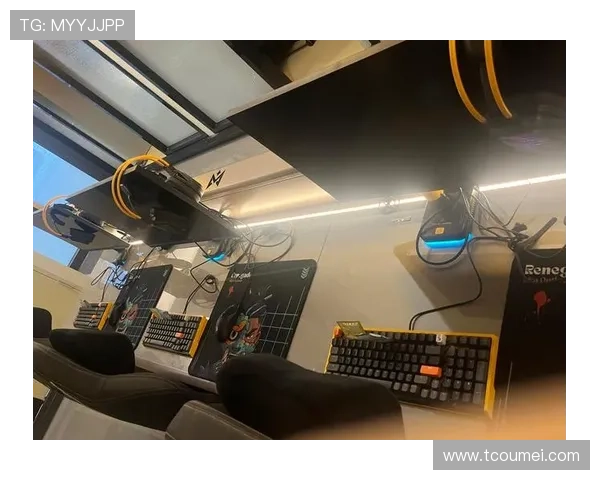 《2025年全球电竞产业报告发布 电竞赛事收入持续攀升引发行业热议》