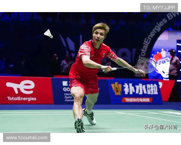 新赛季网球巡回赛全面升温世界名将新星同场竞技引关注球迷热议