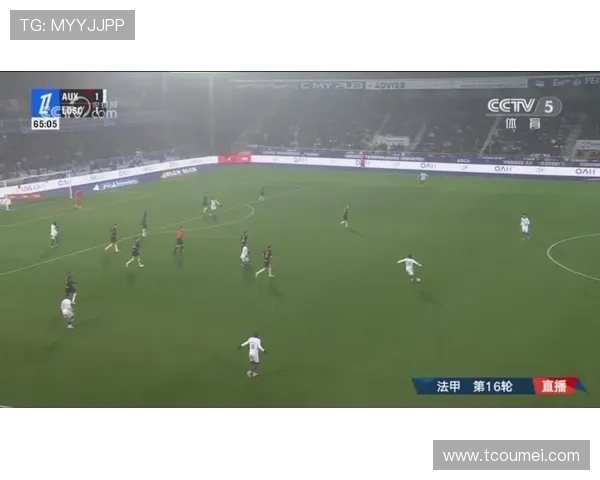 里尔俱乐部崛起之路：从法甲黑马到欧洲赛场新星的蜕变与突破